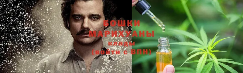 купить наркотик  Кирово-Чепецк  Марихуана Ganja 